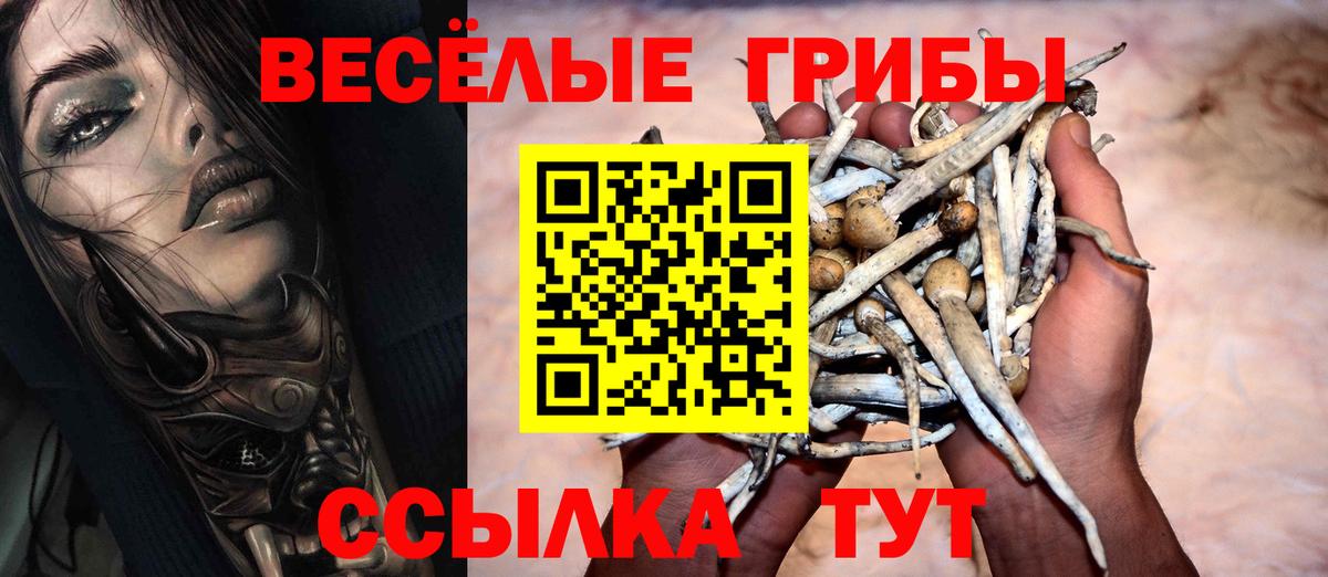 Галлюциногенные грибы мицелий  Вход с VPN  Биробиджан  Галлюциногенные грибы ЛСД 