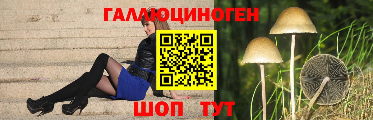 Галлюциногенные грибы мицелий Биробиджан